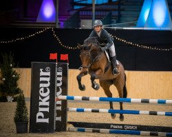 jumper Bazooka 10 (Holsteiner, 2016, from Constanzehof's Barcley)