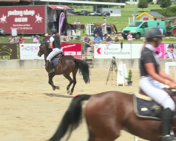 Reitturnier Schwyz 2020