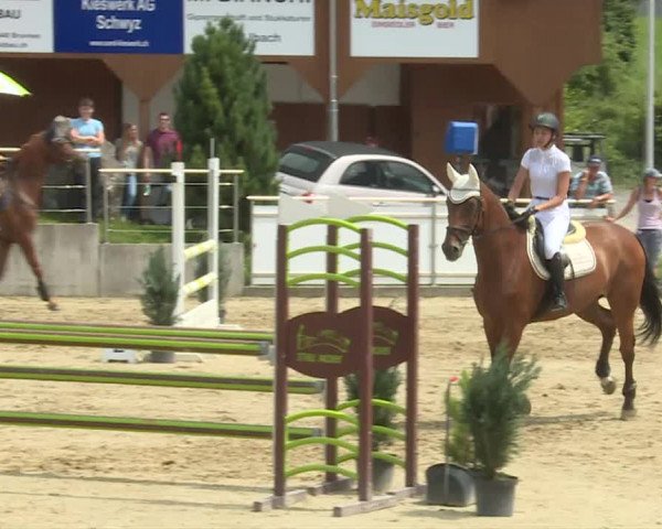 Reitturnier Schwyz 2020
