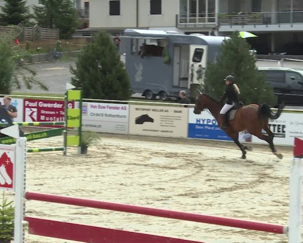 Reitturnier Schwyz 2020