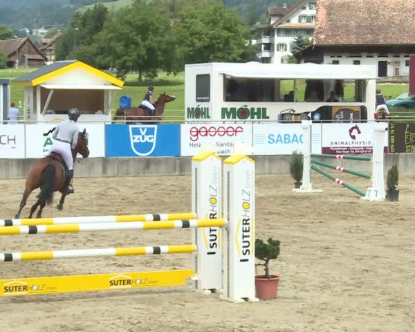 Reitturnier Schwyz 2020