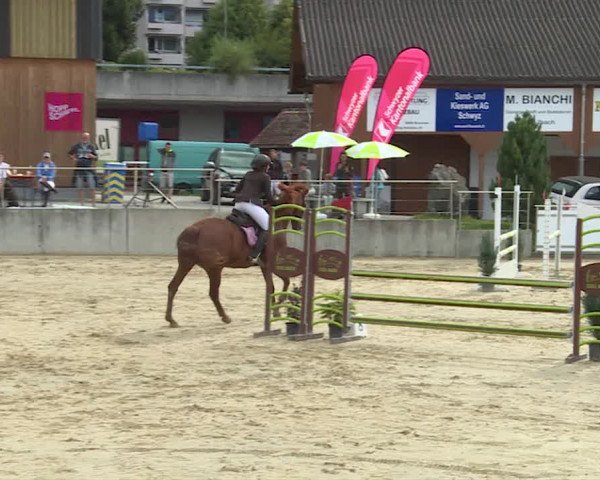 Reitturnier Schwyz 2020