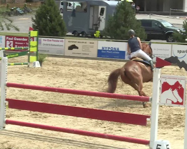 Reitturnier Schwyz 2020