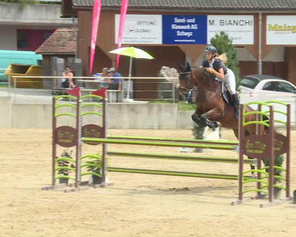 Reitturnier Schwyz 2020
