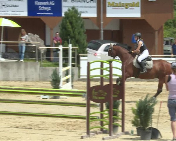 Reitturnier Schwyz 2020