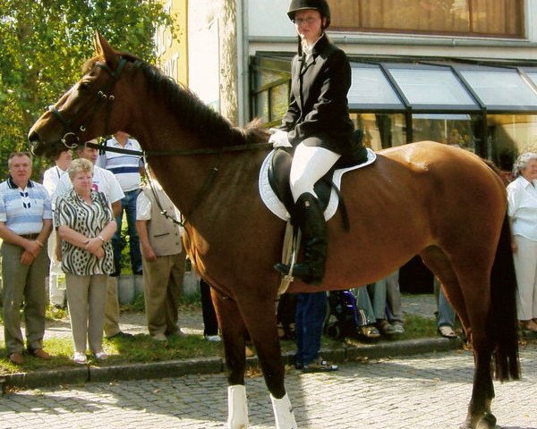 broodmare Ophea II (Trakehner, 1993, from Darß xx 2753)