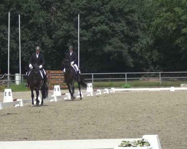 Reitturnier Langenfeld - Gut Langfort 2020