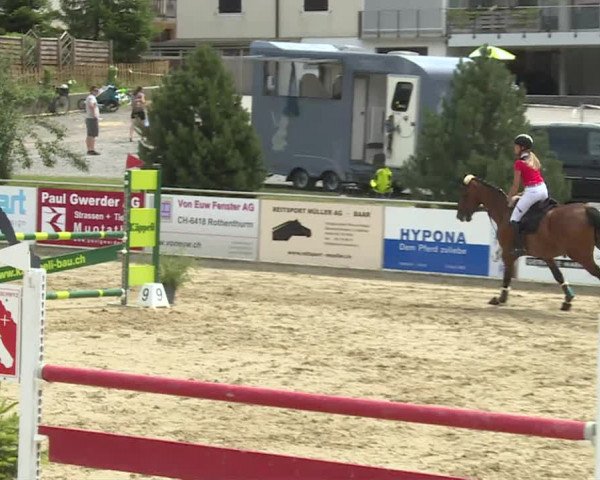 Reitturnier Schwyz 2020