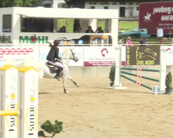 Reitturnier Schwyz 2020