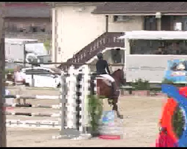 Reitturnier Bättwil 2020