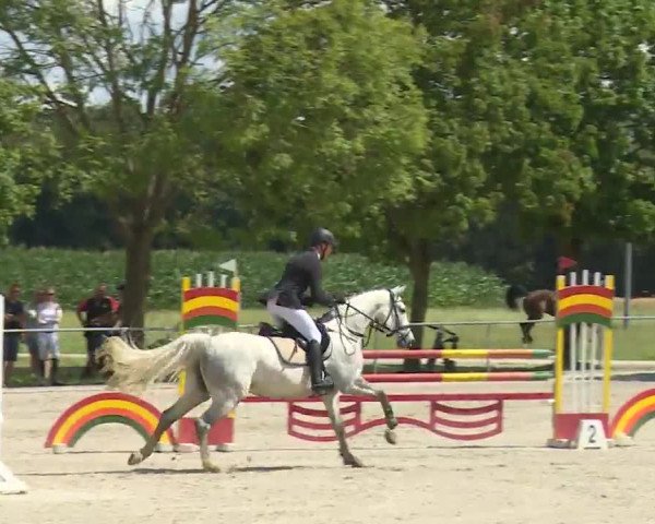 Reitturnier Rot am See- Musdorf 2020
