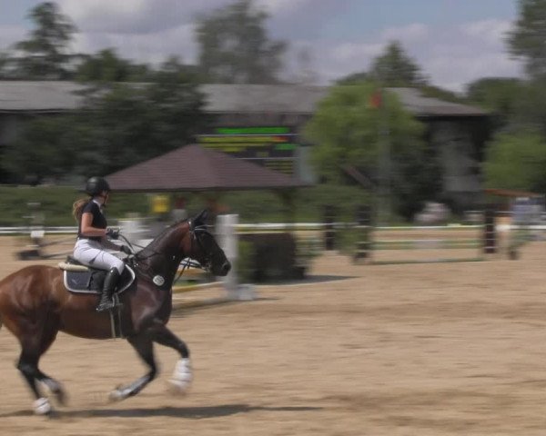 Reitturnier Pietzpuhl 2020