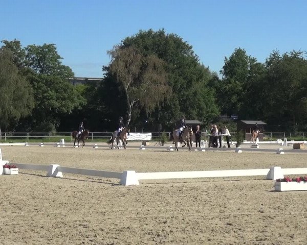 Reitturnier Langenfeld - Gut Langfort 2020