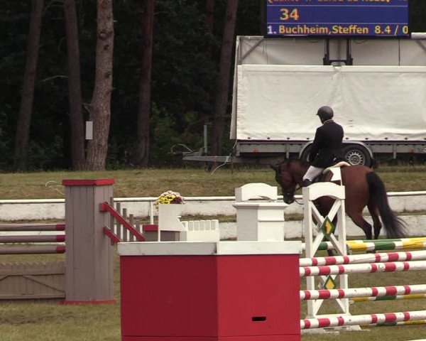 Reitturnier Wörmlitz 2020