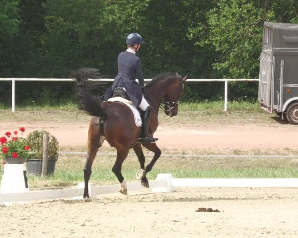 Reitturnier Heiligenwald 2020