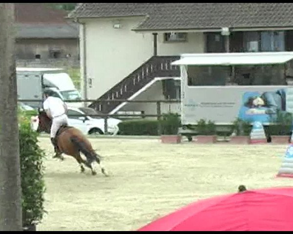Reitturnier Bättwil 2020