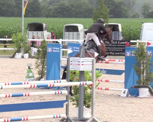 Reitturnier Ladelund 2020