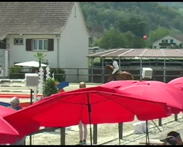 Reitturnier Bättwil 2020