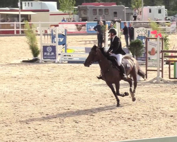Reitturnier Ladelund 2020