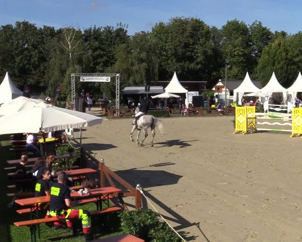Equus Colonius - Reitanlage Brüse Köln 2021
