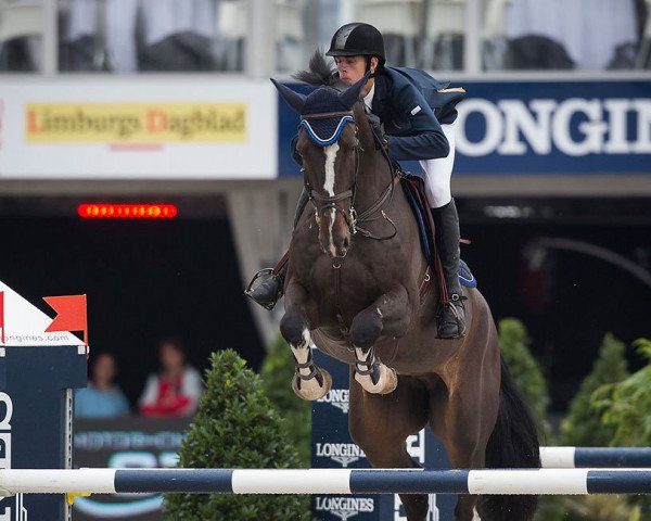 Springpferd Hh Earley (KWPN (Niederländisches Warmblut), 2009, von VDL Harley)