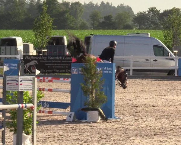 Reitturnier Ladelund 2020