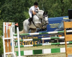 jumper Calido's champ (Hanoverian, 2005, from Calido I)