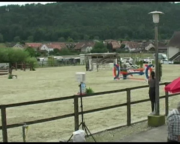 Reitturnier Bättwil 2020