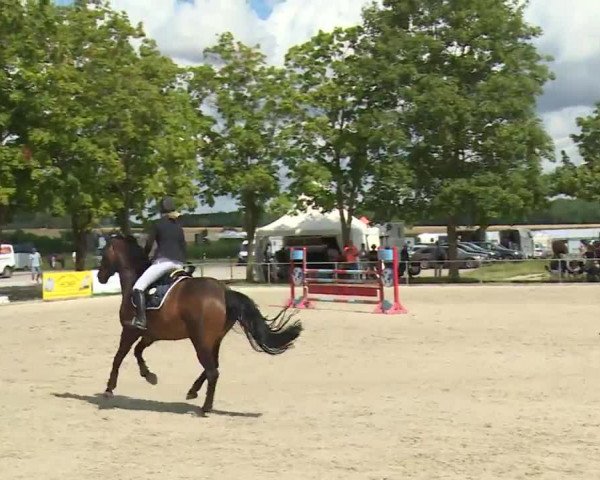 Reitturnier Rot am See- Musdorf 2020