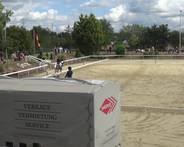 Reitturnier Bornheim-Widdig 2020
