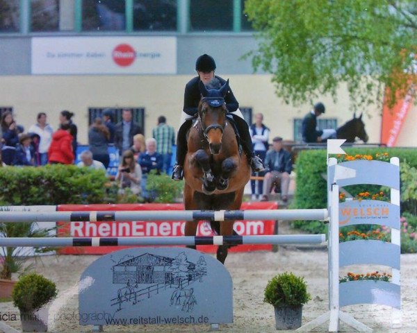 broodmare Rapunzel 183 (Oldenburg, 2006, from Fidertanz)