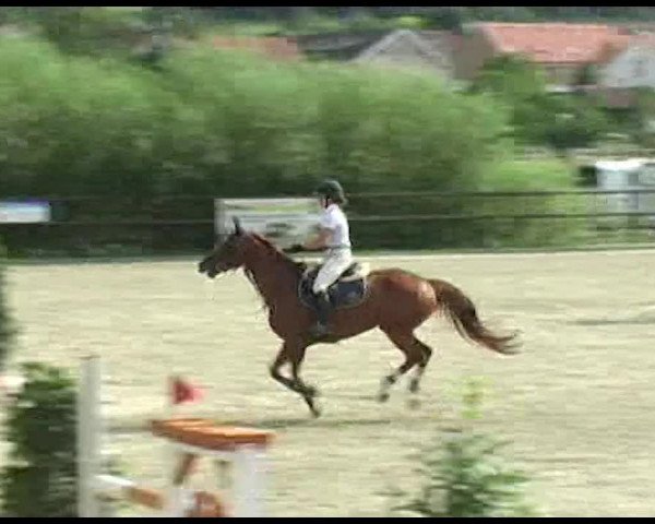 Reitturnier Bättwil 2020