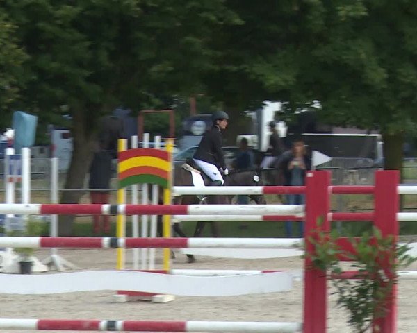 Reitturnier Rot am See- Musdorf 2020