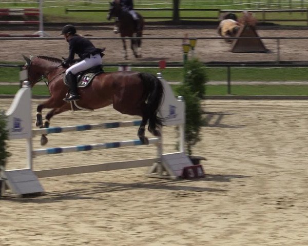 Reitturnier Hamm-Rhynern 2020