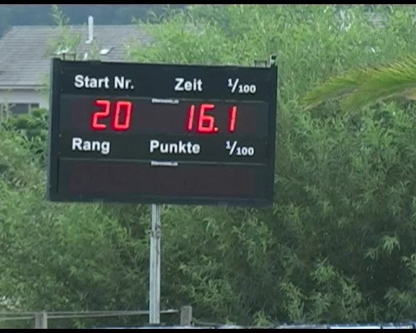 Reitturnier Bättwil 2020