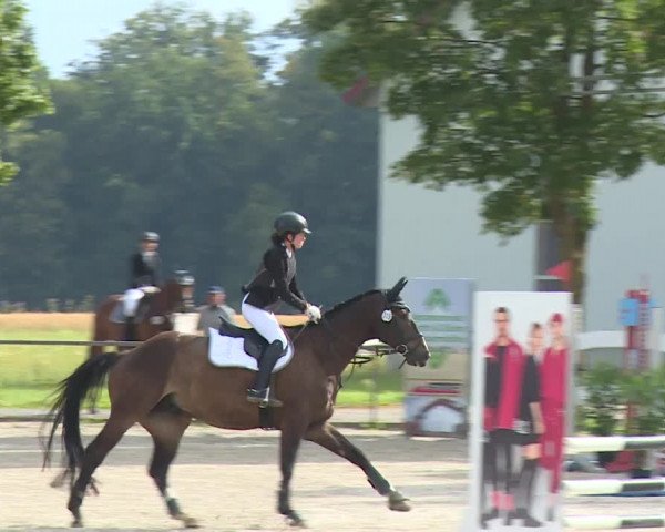 Reitturnier Rot am See- Musdorf 2020