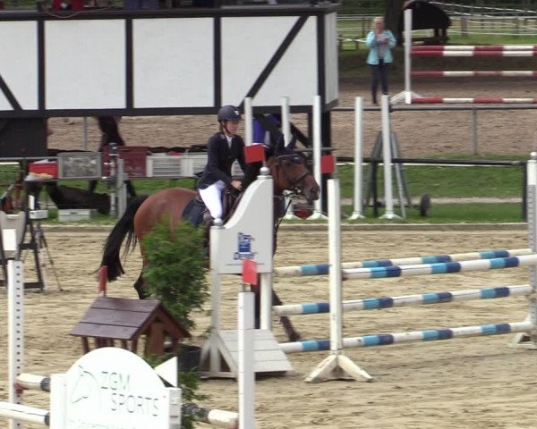 Reitturnier Hamm-Rhynern 2020