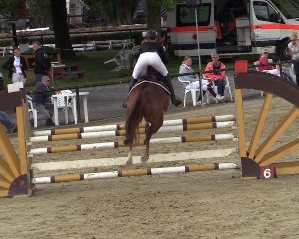 Reitturnier Hamm-Rhynern 2020