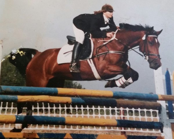 broodmare Forelle (Westphalian, 1974, from Frühlingsduft I)