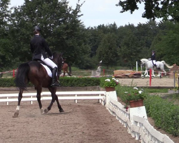 Reitturnier Hamm-Rhynern 2020