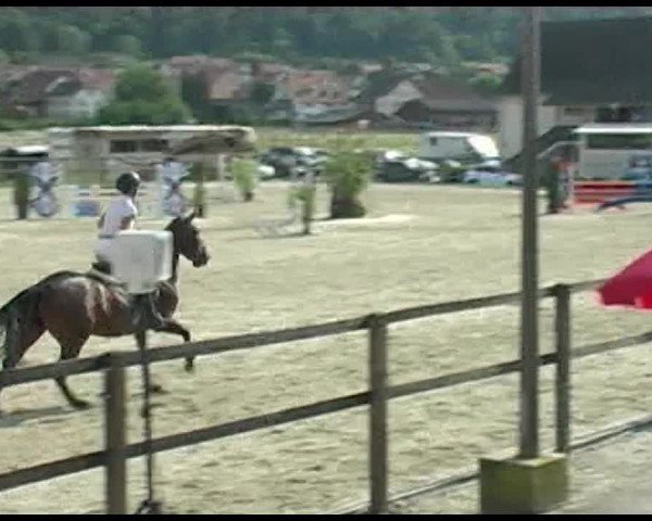 Reitturnier Bättwil 2020