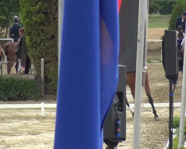 Reitturnier Bornheim-Widdig 2020