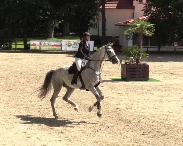 Reitturnier Schnarup-Thumby 2020