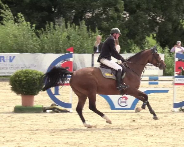 Reitturnier Schnarup-Thumby 2020