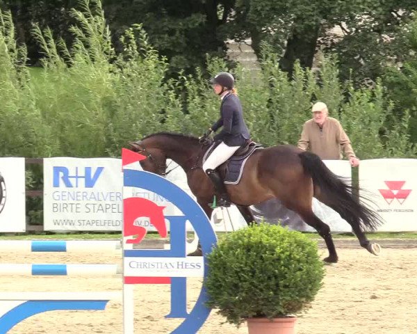 Reitturnier Schnarup-Thumby 2020