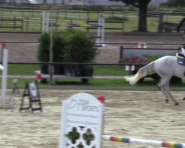 Reitturnier Hamm-Rhynern 2020
