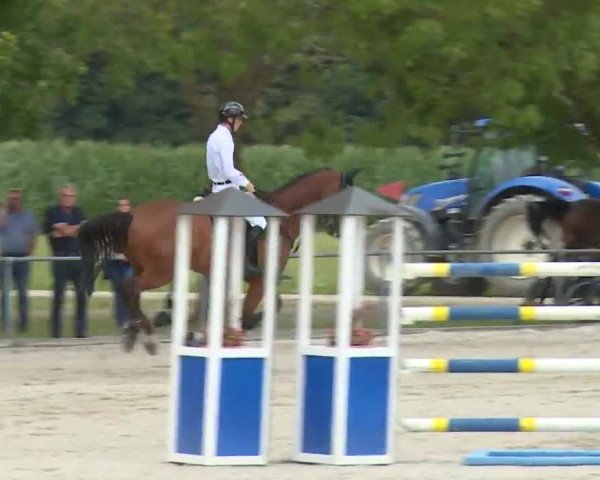Reitturnier Rot am See- Musdorf 2020