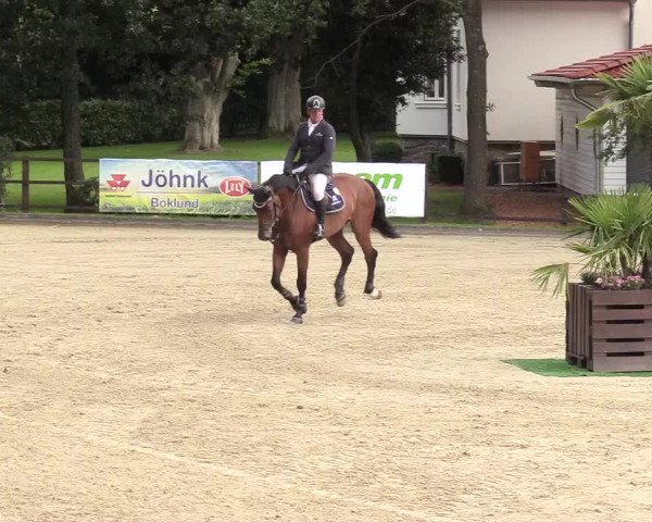 Reitturnier Schnarup-Thumby 2020
