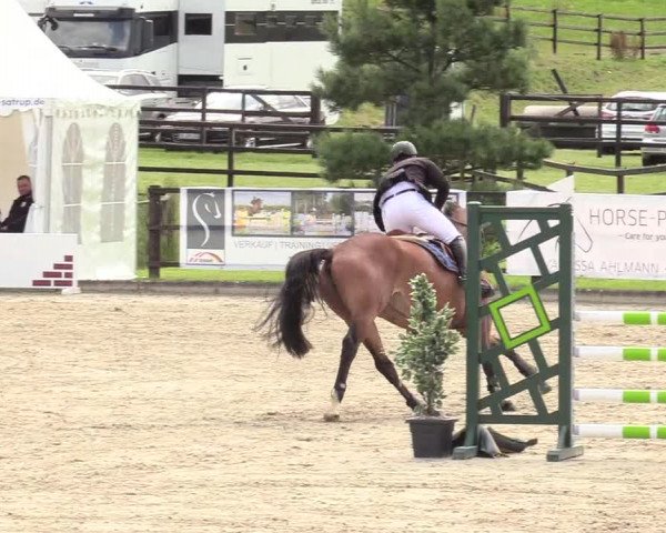 Reitturnier Schnarup-Thumby 2020