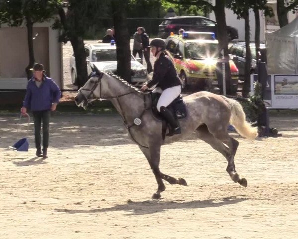 Reitturnier Schnarup-Thumby 2020